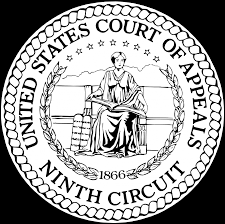 Ninth Circuit Instructions On Filing a Section 1983 Claim Against CPS