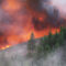 Wildfires and Climate Change
